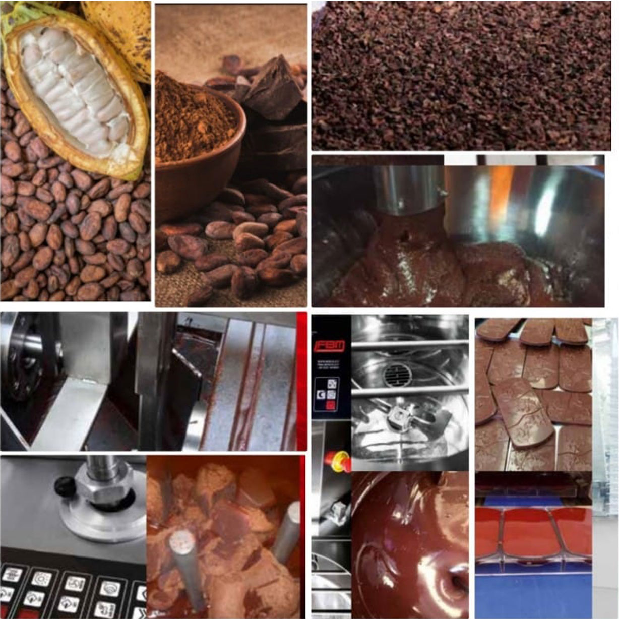 FBM Bean to Bar by Bholakumar Sonar