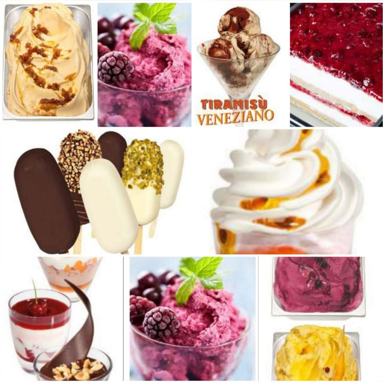 Pregel Ingredients Gelato Pastry by Bholakumar Sonar